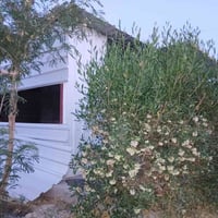 ارض زراعية للبيع • مزرعة للبيع • اراضي زراعية • ارض للبيع • عقارات • ا...