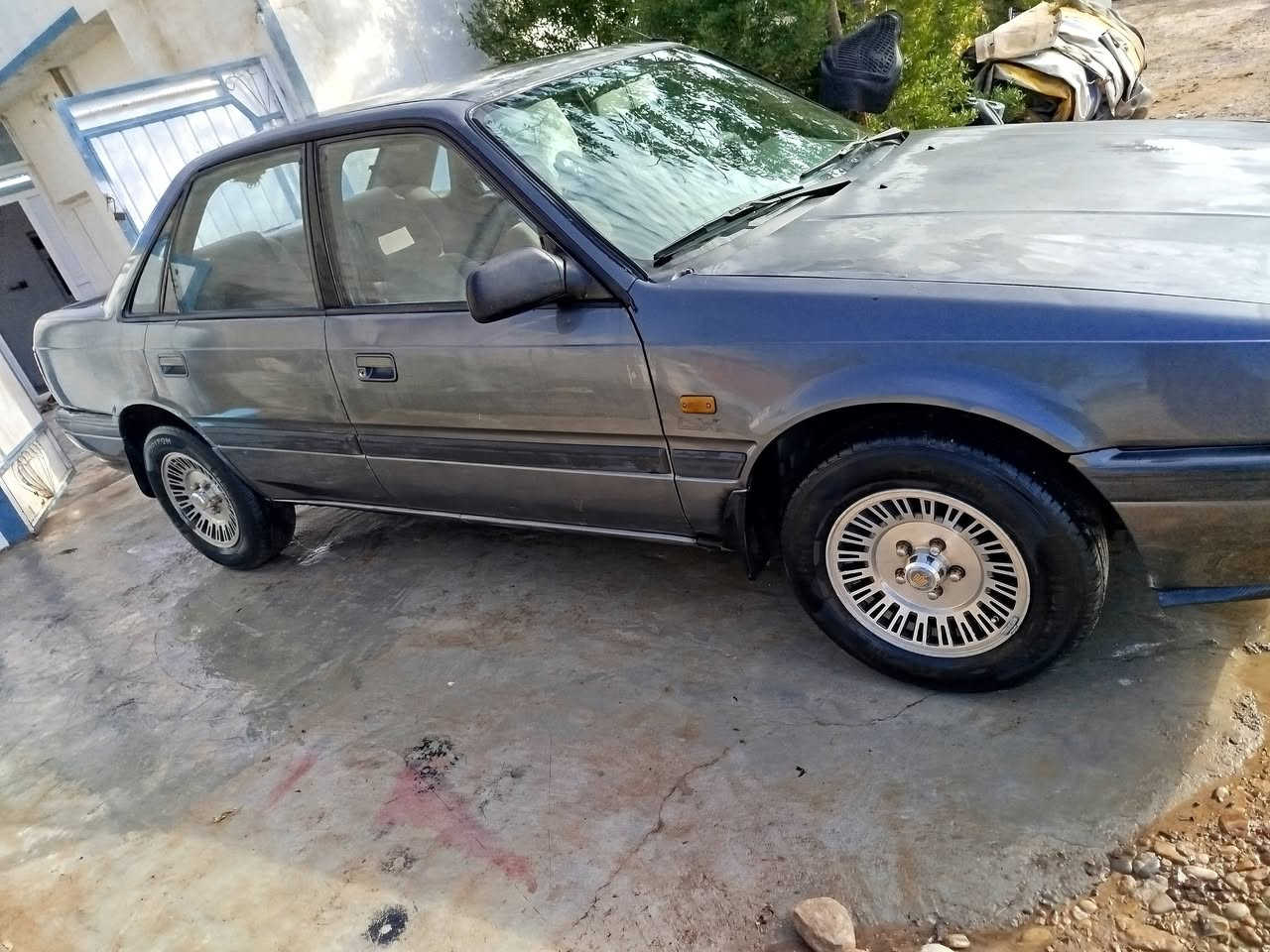 91
12وبخ
محرك گير بشرت 
مابيه داعم مابيه خياص
رقم اربيل 
تحويل غرامه بشرت
سعر 33 شويه مجال
مكان كلار صمود
***********
