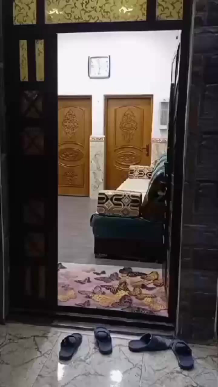 بيت للبيع العنوان جزيرة الكباسي يم نزلت بيت صيهود  غرفتين ديوانيه صاله مطبخ مساحته 125 سقيفه بيتونه اعتبار نفس غرفه صحيات خارجيه الاستفسار على هذا  الرقم. *********** سعر اللبيت 85
