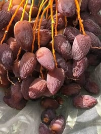 صاعود نخل متفرغ تلقيح وتكريب وتنظيف مكاني فضليه  واتساب07806544874 ابو...