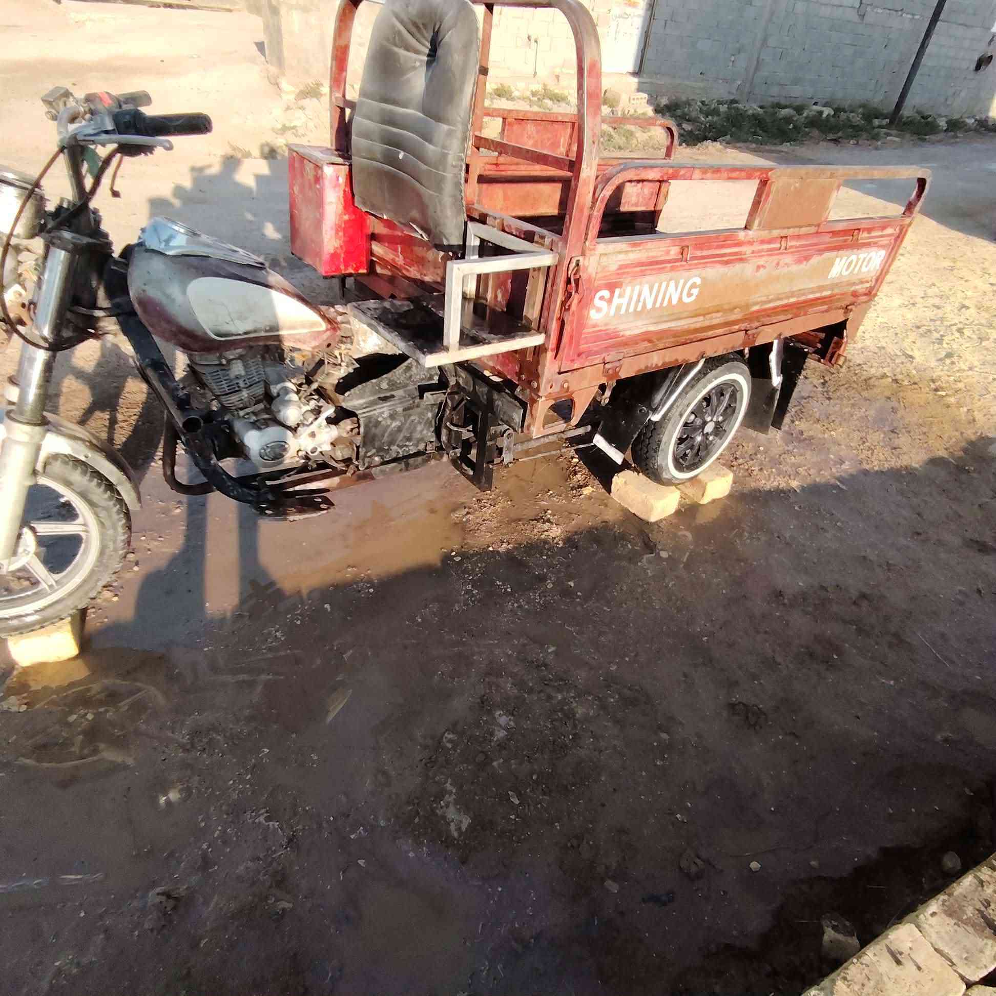 ستوته لل بيع جميره كلك نضيفه بدي مكفول شاصي مكفول تواير أبو الخطيه كرتون مديل 18 ) مكان سماوه ***********) 650وبيه مجال
