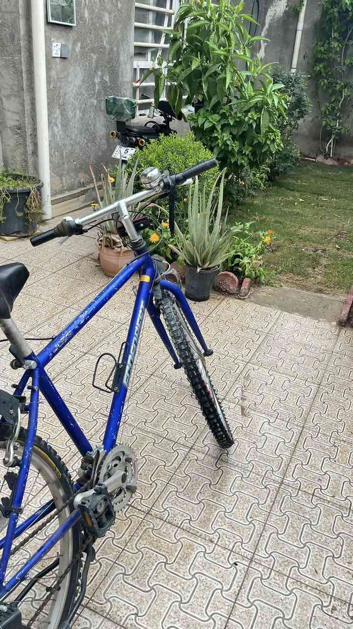 السلام عليكم 
بايسكل رياضي للبيع حجم 26 تايرات جبلية جديدة و بدالة امامي خلفي نضيف مرتب و واضحة النضافة بالصور مكاني ديالى بعقوبة الكورنيش السعر 85 و بيه مجال هذا رقمي ***********
