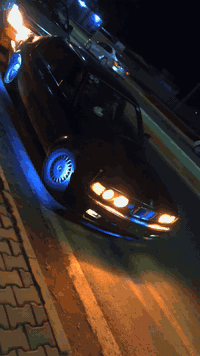 730 • زيتوني • رقم نينوه