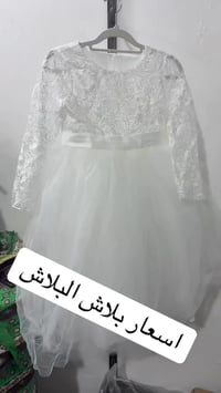 تيك توك • بث • امزون احمد جمال