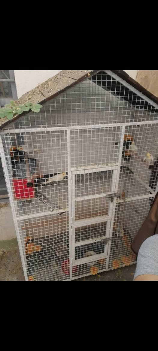 سلام عليكم .
قفص للبيع الارتفاع مع الجمالي تقريبا متر و٧٠ والعرض متر وعشرين والنزال ٧٠ .السعر ١٠٠


**إذا كنت صاحب هذا الإعلان وتريد حذفه لأي سبب، رجاءا أرسل رسالة إلى الدعم الفني**