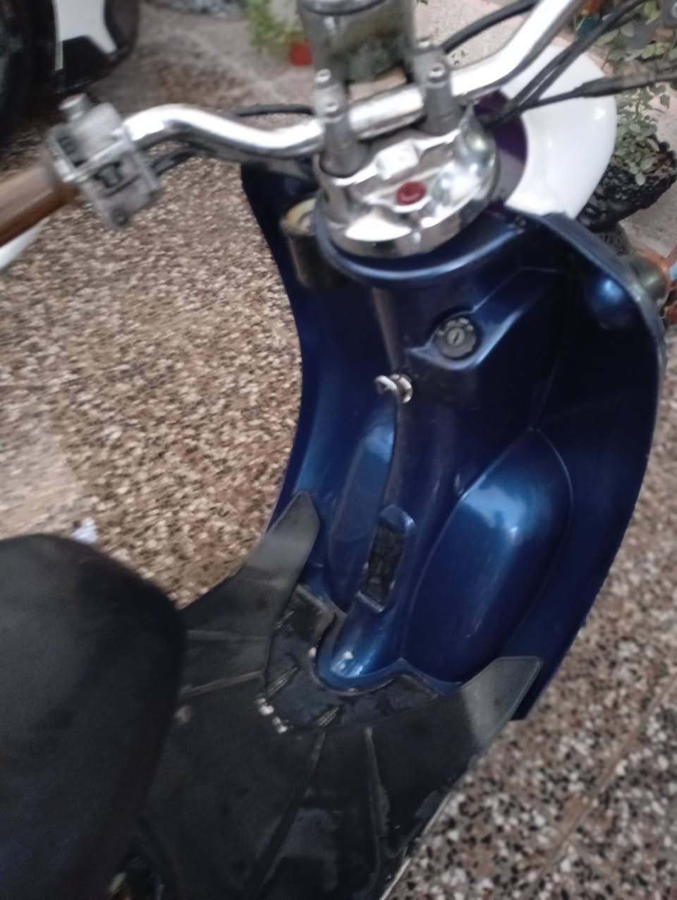 دراجة عبد الحليم دراجة نضيف كلش نقصهة بس كفرات سعر 150قفل +العدة دراجة مراوس خاصتن عصفورية المكان بغداد حي الاعلام رقم الهاتف ***********
