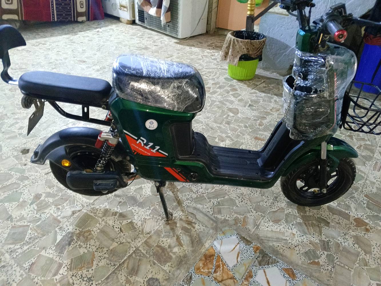 ناصرية شطرة 