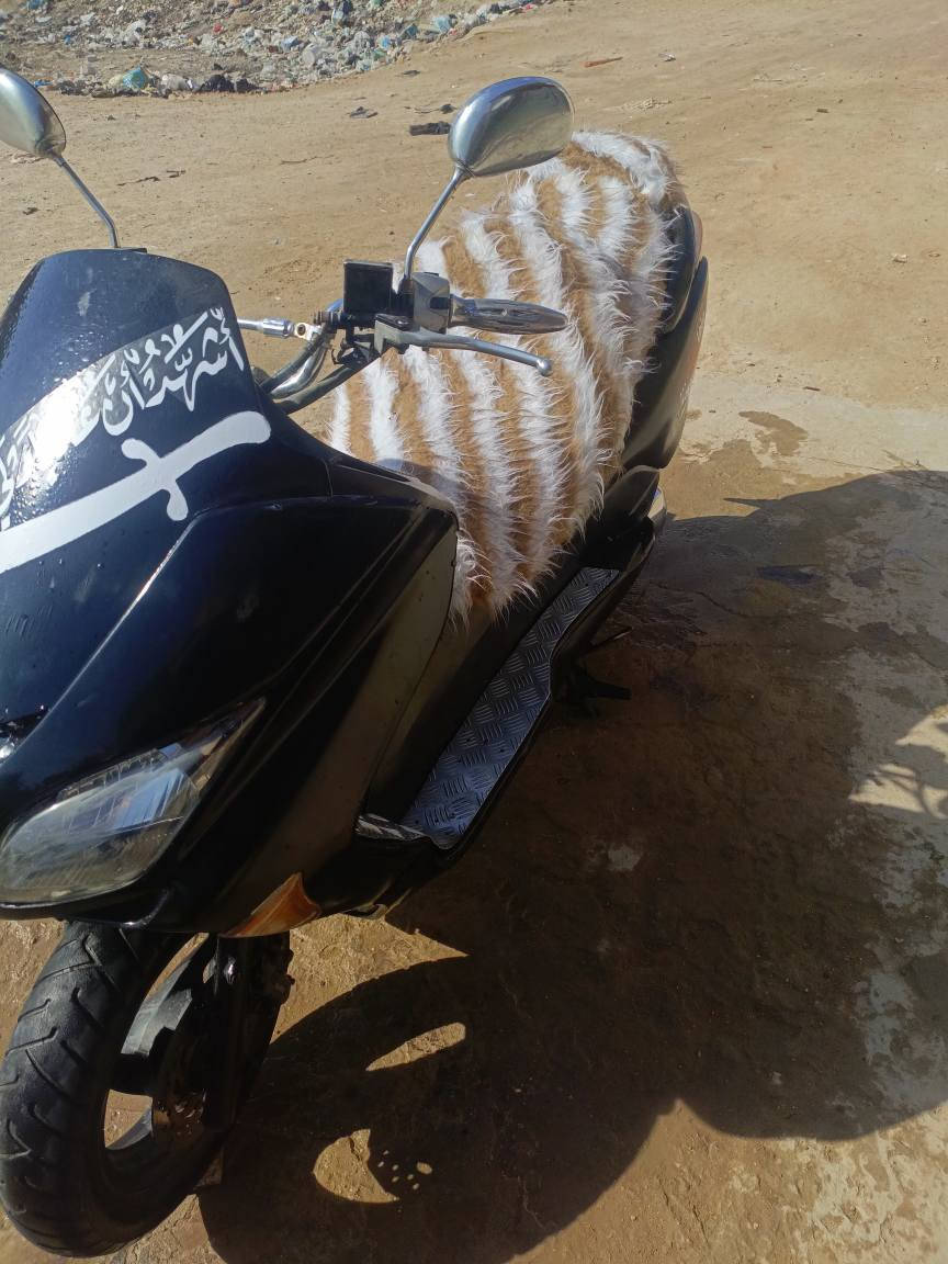 650وبيها مجال حك الجية بابل
‏‪***********‬‏
