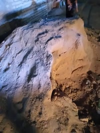 رمل كليلتين نضيف قبل اسبوع ذبيتة نضيف اتصل 07710726413 مكان حي السفير