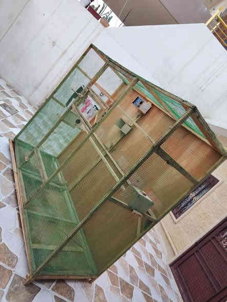 السلام عليكم متاح قفص تفصال مشدود براغي قياسات
ارتفاع 180 سم
نزال 70 سم
الطول 200 سم
يرهم للطيور بانواعها (طيور حب و كوكتيل و غندور و كنيور و الحمام )
السعر 80 الف
العنوان حي الاسرئ و المفقودين سايدين جامع المعراج 
***********.
