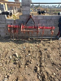 للبيع الاتصال على 07801119241 ايطاليه اصليه 11 سن