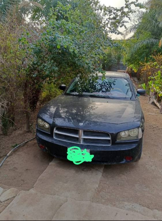 سلام عليكم  جارجر  مديل عشره البيع الشراي يتواصل عله هذه رقم واتساب ***********
