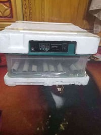 فقاسة • ٥٠ بيضة • الشعب بغداد