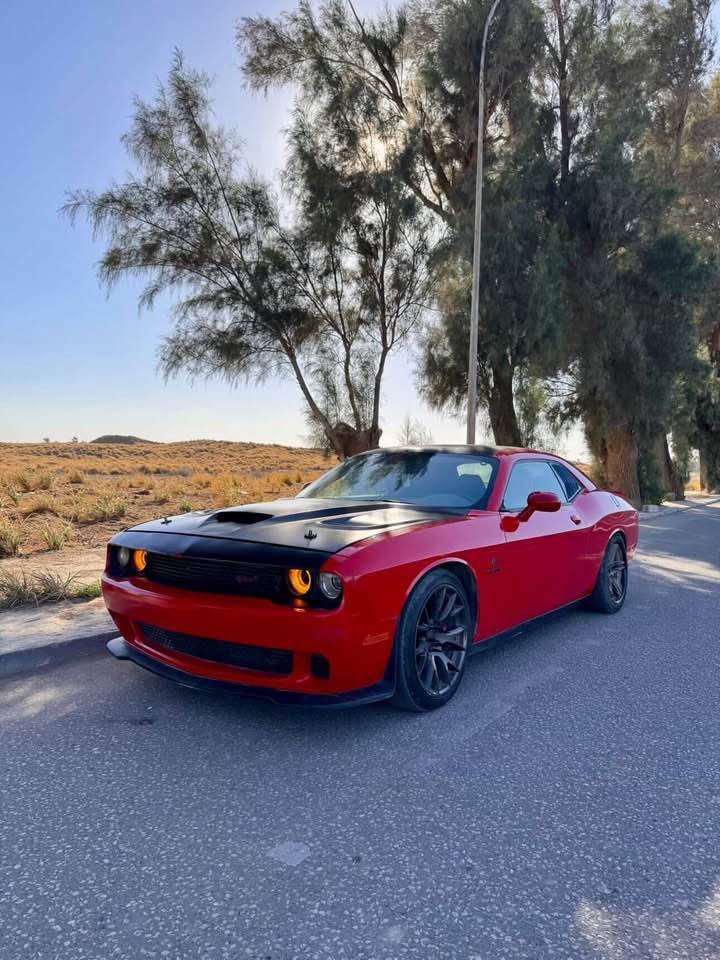 جالنجر 2021 Rt

ماشيه58 الف

حادث سرقه بابين وقبق الجنطه 

حته لا اتعبك ولا اتعبني ابيعلك حزام بس هيه مو حزام

محرك كير كفاله

سياره متعوب عليها

وعليها ادامه كامله

#الاضافات

كزوز كورسا

الداخل كاربون فايبر كامل

برمجه تفريغ

شاشه وعدادات srt

وياله خلفيه فيراده اماميه فيراري

تهبيط حلو 

عليها سستم سماعات بيتس 10سماعه

دفيوزر سكوبات شفقه …

رقم السيارة بغداد مشروع وطني هزه جديده باسمي مداور ثاني يوم

*********** بغداد, العراق
