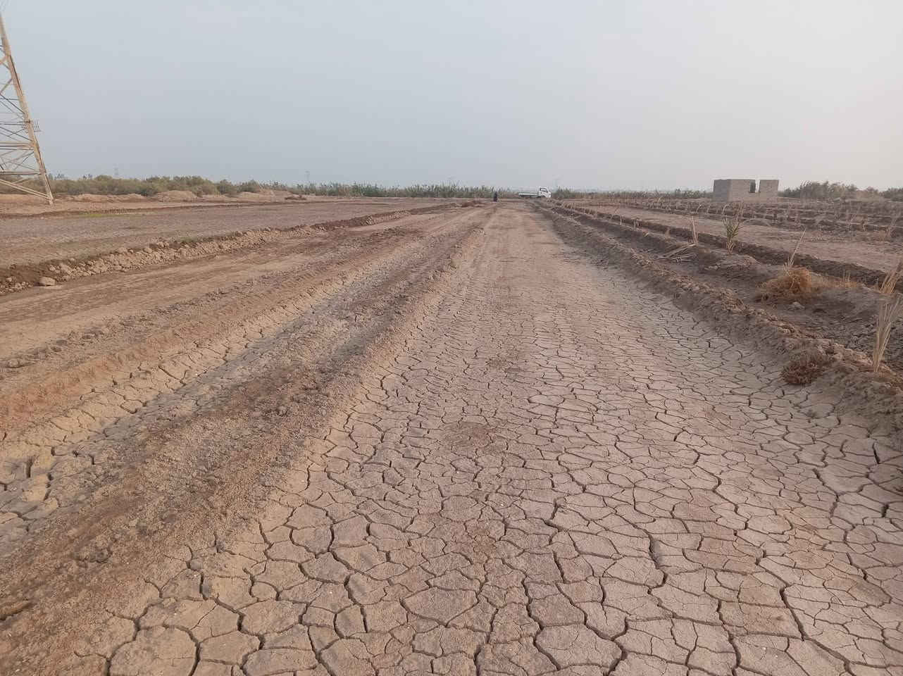 اعادت النشر بسبب الوعود الكاذبه ١٤ دونم  اصلاح زراعي حله جامعة بابل منطقة ربع سعود موجود مي وكهرباء وتبليط السعر الدونم 5 وبيه محال  من الشارع ليمه خمسه كيلو *********** @إشارة
