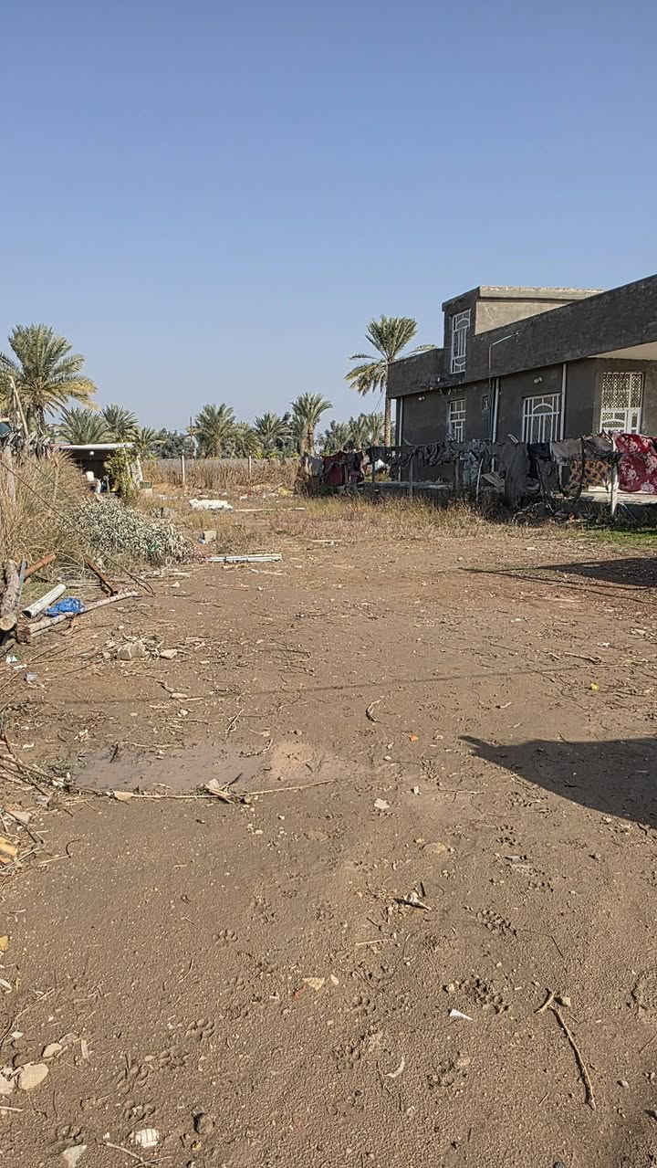 السلام عليكم للبيع قطعة ارض مساحه 400متر واجهه 12وربع ونزال 32وكدامهه ساحه جبيره طابو 25بسمنه والسعر 50مليون وبيهه مجال موقعهه خلف الجبل قرب الدايني راعي الحدب طريقهه سبيس مي اساله ومي نهر متوفر كهرباء جهتين  قريبه على مجمع مدارس دار العلم قرب مطعم كهرمانه  الاتصال ***********
