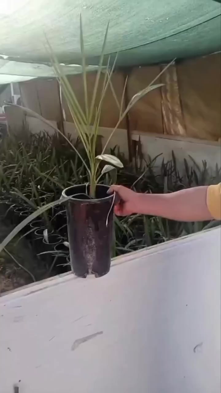 للاتصال ***********
