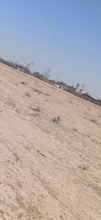 مزرعه • 50دونم • شارع ياعلي