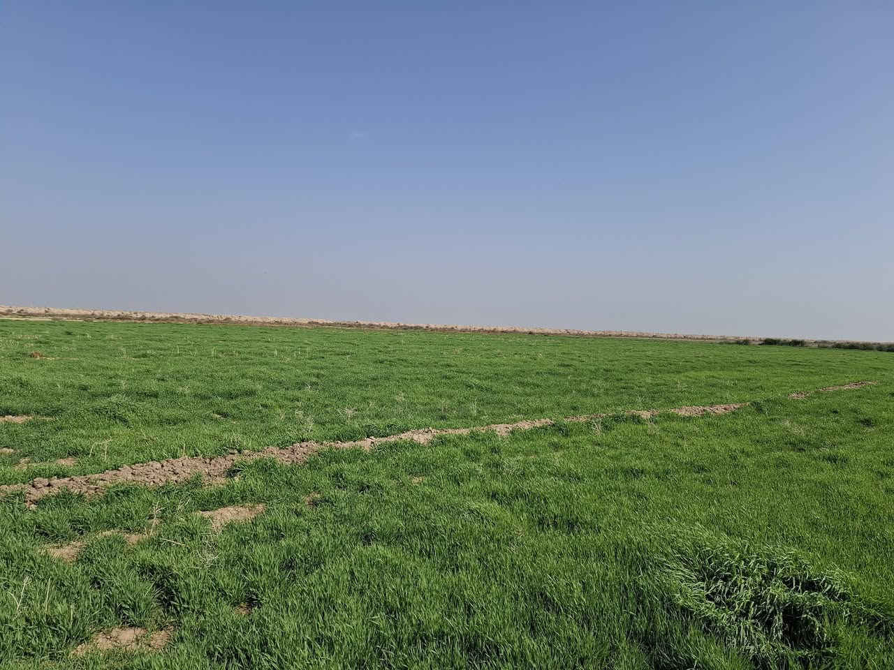 سفح 300 دونم في محافظه واسط
متوفر ماء وكهرباء 
للإستفسار اتصل ***********
