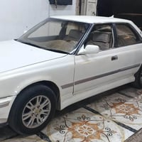 شيزر • ١٩٩١ • بدون غرامات