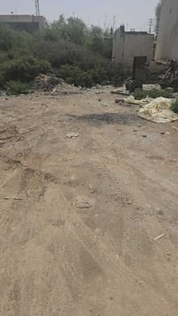 البصرة ابو الخصيب • ٣٦٠م • زراعي