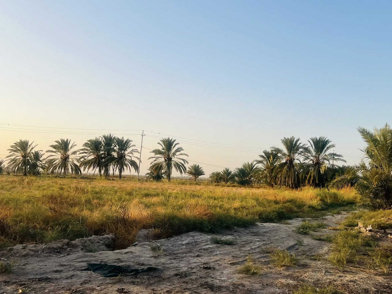 سلام عليكم ارض طابو للبيع المساحه 30 دونم سند مستقل بأسم شخص واحد الارض مكانه حلوه تصلح مجمع سكني او شاليات العنوان طريق كربله نجف طريق مفرك الكفل عمود 350 
استفسار.   ‭0783 885 1910‬
