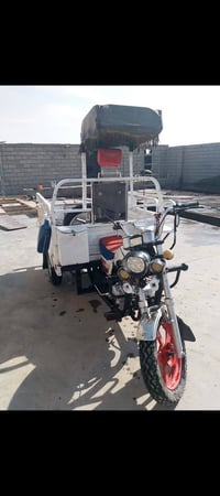 توك توك • موديل 19 • ديالى بلدروز المدير