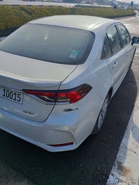 كورلا شركه sas رقم اربيل السياره بغداد  مكلف بنشر   هذا رقم ابو السيار...