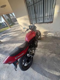 باندا ٤٠٠ • شغالة • فول مكاني