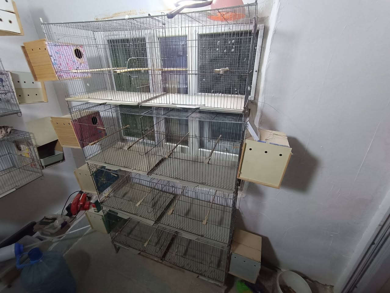 سلام عليكم اخوان عندي هاي الاقفاص للبيع كاملات بس تخلي بيهن طيورك ثنيناتهم طالب عليهم 150 الف وبيه مجال للطيبين مكاني كركوك شارع القدس 
رقمي ***********
