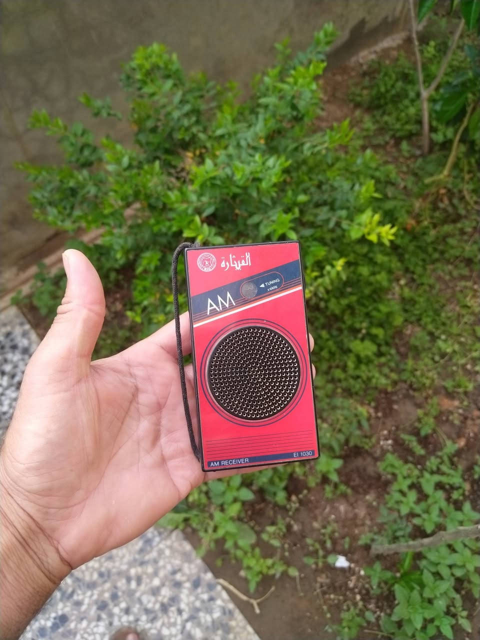 راديو 📻 قيثاره عدد ثنين للبيع قيم وبخدمتك


**إذا كنت صاحب هذا الإعلان وتريد حذفه لأي سبب، رجاءا أرسل رسالة إلى الدعم الفني**