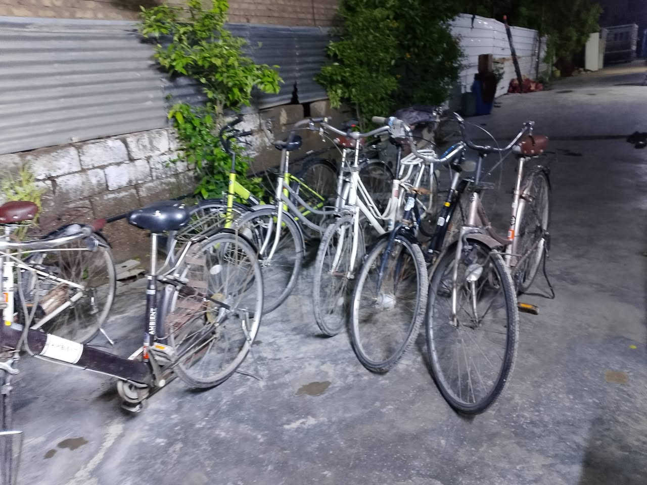 يالله وصلت وجبت باسكلات حجم ٢٦ وعدي حجم ٢٧ باسكلات كله باله مكاني شيخ حمد نزلت دكتور سليمان *********** بي واتساب
