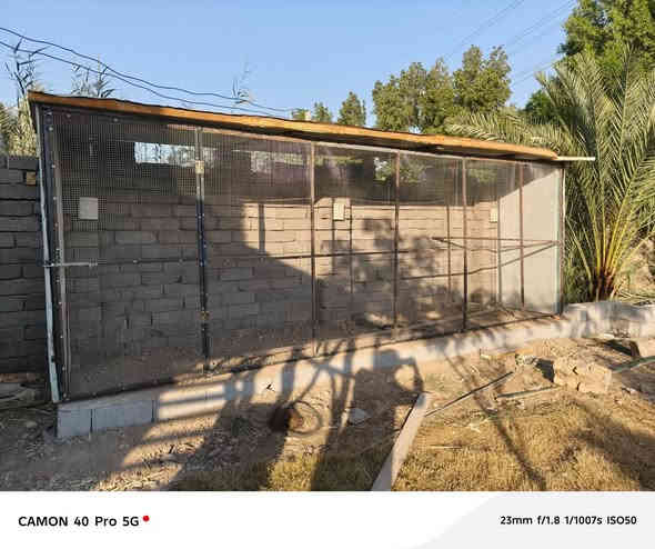 السلام عليكم حداد متجول في حياءقضاءعفك  شغلنه لاحد الاخوه ابراج مستعدين لحداده انواع المحميات والأبراج والقفص *********** نشتغل لجميع صقاءف السيارات 🏠اتجول
