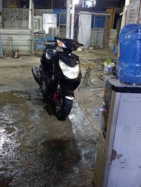 فحل ياباني • كفاله عامه • مدينة الصدر