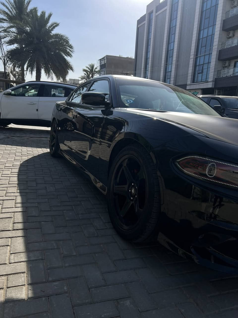 من رخصت الادمنيه ارخص ديتونا 2018 فول الفول 
2018 فول 4 قطع صبغ سعرها 175 مكاني السيديهح بغداد*********** 
السياره كلش حلوه ونضيفه بدون كص بيها تعديل بشاصي الايسر 
ويل ديمون من احمد ورمزي سعره 600$
ب
