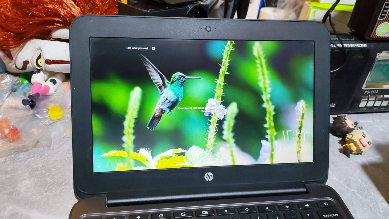 متوفر حاسبه hp للبيع حجم وسط ٣٠ سم السعر ٥٠ مع توصيل


**إذا كنت صاحب هذا الإعلان وتريد حذفه لأي سبب، رجاءا أرسل رسالة إلى الدعم الفني**