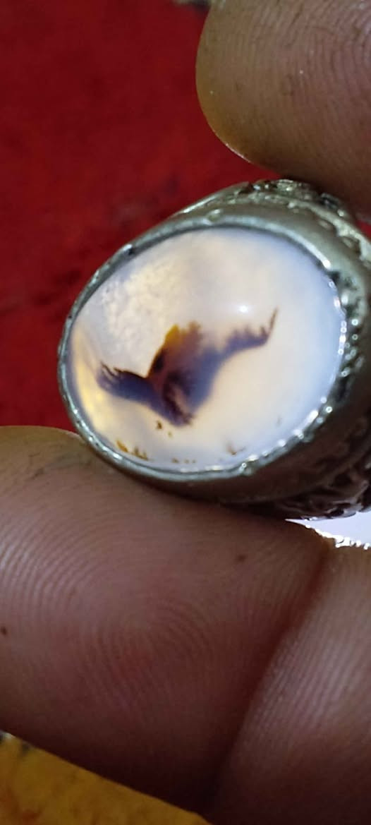 محبس فضه خراسانيه سعر٢٥ البصرة, العراق


**إذا كنت صاحب هذا الإعلان وتريد حذفه لأي سبب، رجاءا أرسل رسالة إلى الدعم الفني**