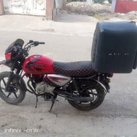 بوكسر جبلي • موديل ٢٠٢٢ • بدون أوراق