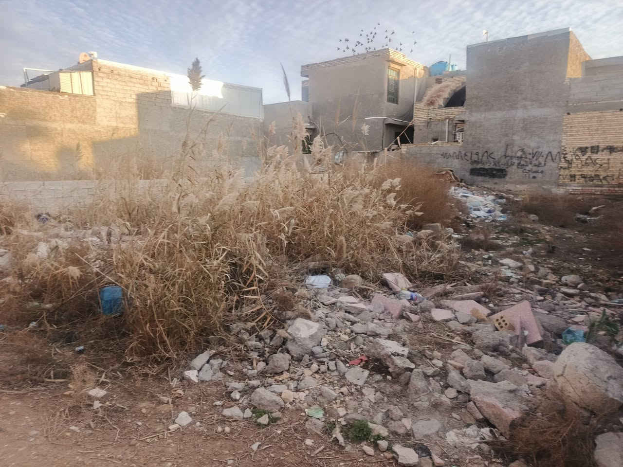 السلام عليكم عندي قطعه أرض زراعي ٢٠٠ متر سند 25 مقابيل الحسينيه مال الراشديه كامل خدمات مي مجاري تبليط كهرباء تريد 100 تريد ال 200 كلها ورا مطعم ابن سمينه مقابل المحكمه مال الحسينيه  ***********
