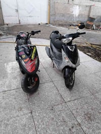 ماكسات • معدلة • بلادية