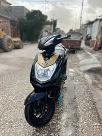 سكنس • مامفتوح • ٢٠٢٤