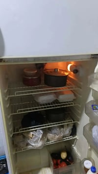 حجم كبير • تجميد فول • شرط الفحص