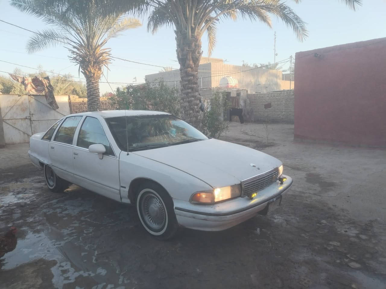 السلام عليكم دولفين للبيع موديل 1991 رقم ألماني ميسان كير ومكينه ففي تي 3000 الاف الكلاص الاسود  مكينه جديده حاويه تخم تاير تدفئه تبريد شغال حداديه كهربائيات شغاله كشنات كهربائيه حداديه جديده. السعر 35 وبي مجال. العنوان بابل الكفل. ***********
