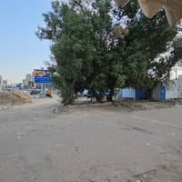 تفاصيل القطعة: ​الموقع: شارع ١٤ رمضان، بغداد، العراق. ​المساحة: ١,٥٠٠ ...