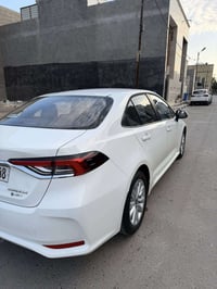 كورلا • ٢٠٢٥ • بغداد الكرخ