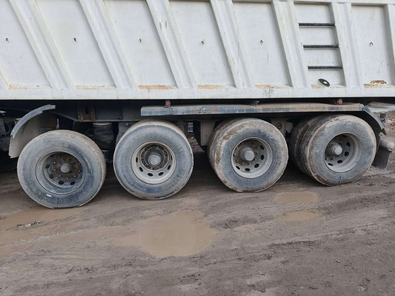 السلام عليكم للبيع اكسور 2007 دمعه 
حجم 1843 كير كهربائي مكينه كير شاصي قماره كله كفاله مربوطه نساف 
دار قصاب رقم سليمانية بسمي تحويل ثاني يوم الاستفسار اتصال 
‏‪***********‬‏ احمد أبو شهد 
مكلف بالنشر
