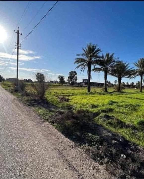 بلقرءان بلاش ومستقبلك مضمون من اول شوفتك للكاع ارض 5 دوانم طابو زراعي سند 25 كاع بسمي #بصف_شط_ذراع_دجله_وتبعد_500_متر_عن_الحولي_الدولي_الجديد_وعندي_مرتسم_الطريق_الدولي_منين_يفوت وتل التراب البلفديو هذا هوه شط ذراع وكهرباء ومي وعلى شارع سبيس وبصف الكاع سكن منطقة كامله مدارس البناء مسموح تصلح للزراعه وتكدر
وواجهة الدونم الواحد ٢٥ متر ونزال ١٠٠ متر وكل هذا الخدمات والمستقبل الحلو 
 وسعر الدونم 7 مليون وبي مجال وما أخذ منك فلس الة بعد فتح بيان بطابو والأرض بسمي وهذا تصوير الكاع منطقة الشيخ عامر التاجي ذراع دجله منطقة العيساويه قرب نهر ذراع دجله
يتوفر واتساب للرقمين
مكمل مرتسم وتثبيت حدود الكاع بس افتحلك بيان بطابو 
للستفسار الاتصال *********** واستاب
***********
