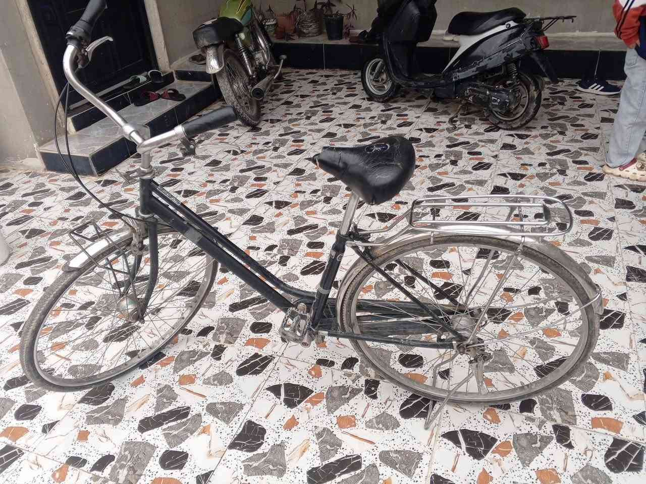 باسكل للبيع السعر 60وبي مجال للطيبين مكاني حويجه حي العسكري يم جامع التوبه


**إذا كنت صاحب هذا الإعلان وتريد حذفه لأي سبب، رجاءا أرسل رسالة إلى الدعم الفني**