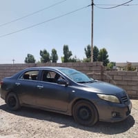 صبغ عام • بدون ضرر • خليجي