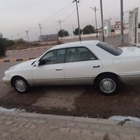 لبيع مكفوله من الكص ولعيب شرعي فقط نقل جذه سنويه 2030    07839368413 ا...